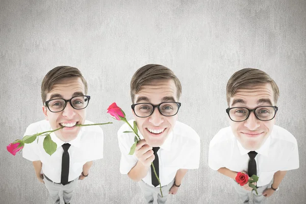 Image composite de nerd avec rose — Photo