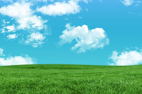 Green Field and sky — Stock Photo, Image