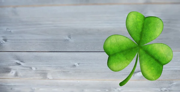 Zusammengesetztes Bild von Shamrock — Stockfoto