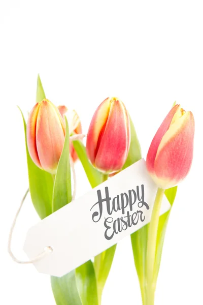 Composite image of happy easter — Stock Photo, Image
