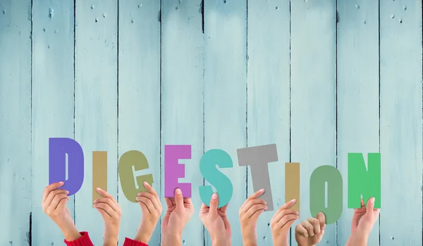 Composite image of hands holding up digestion — Stock Photo, Image