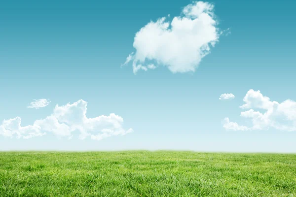 Green Field and sky — Stock Photo, Image