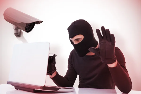 Fokuserad inbrottstjuv hacka in i laptop — Stockfoto