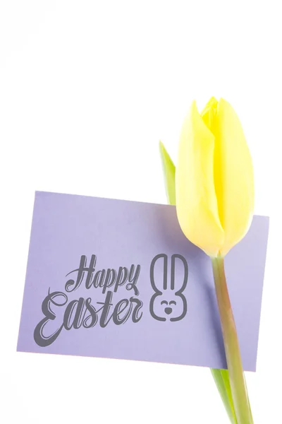 Composite image of happy easter — Stock Photo, Image