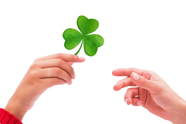 Zusammengesetztes Bild von Shamrock — Stockfoto