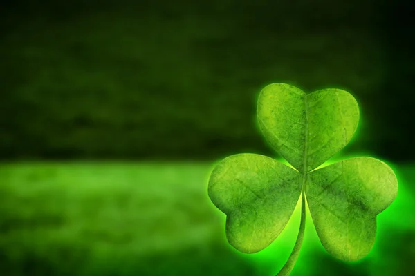 Composite image of shamrock — Stock Photo, Image