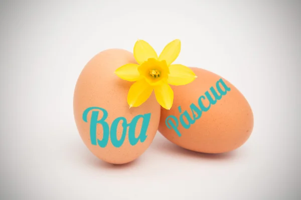 Obraz kompozytowy z boa pascua — Zdjęcie stockowe