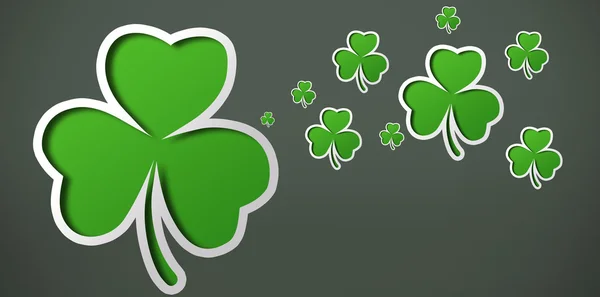 Shamrocks 회색 backround에 — 스톡 사진