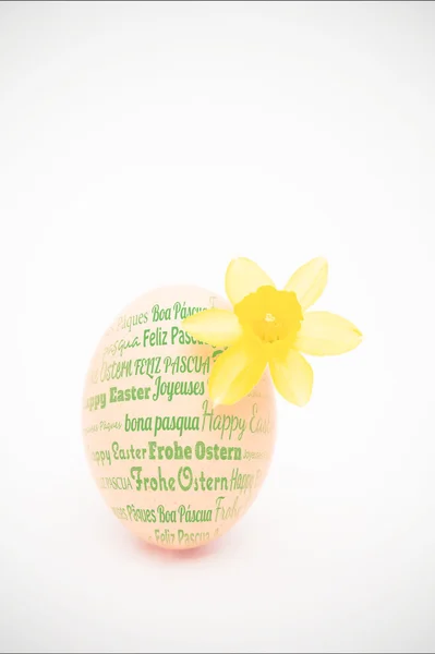 Composite image of happy easter in different languages — Stock Photo, Image