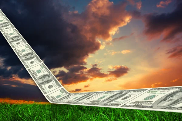 Dollar weg tegen groen gras — Stockfoto