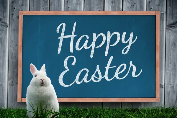 Composite image of easter bunny — Stock Photo, Image
