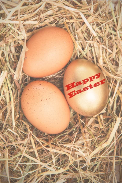 Altın yumurta karşı mutlu Paskalya — Stok fotoğraf