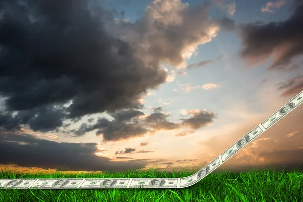 Dollar road against green grass — Stock Photo, Image