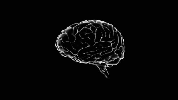 Cerveau filant sur fond noir — Video