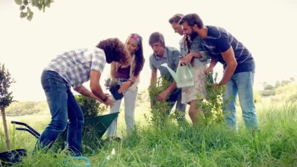 Amigos jardinería para la comunidad — Vídeos de Stock