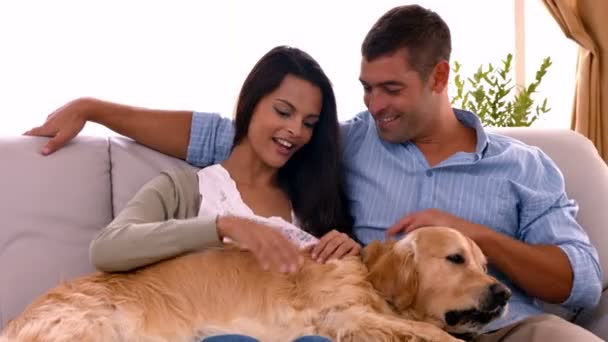 Happy couple with their dog at home — Stock Video