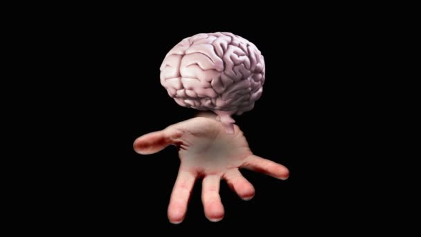 Mão apresentando um cérebro girando — Vídeo de Stock