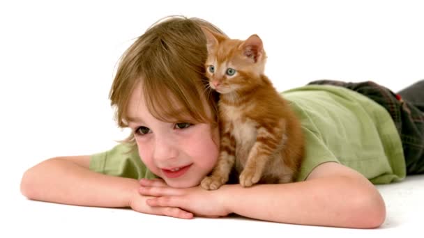 Niño con gatito sobre blanco — Vídeos de Stock