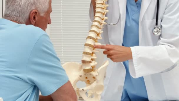 Doctor explicando un modelo de columna vertebral al paciente — Vídeos de Stock