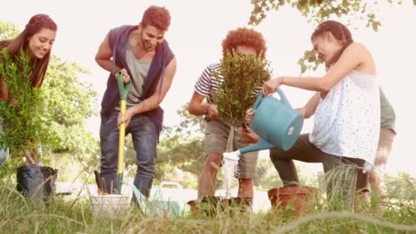 Счастливые друзья, собирающие урожай для общества — стоковое видео