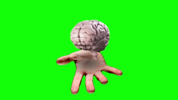 Hand presentera en spinning hjärna — Stockvideo