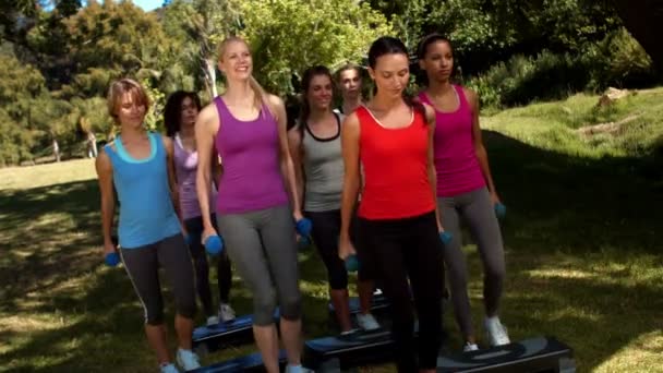 Fitness groupe levage des poids de la main dans le parc — Video