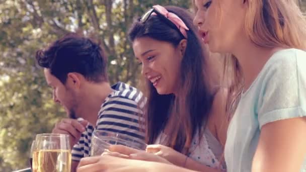 Freunde im Park beim Mittagessen — Stockvideo