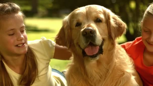 Broers en zussen met hun hond in park — Stockvideo