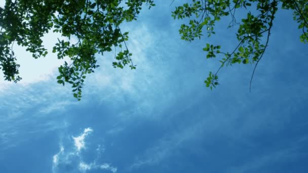 Cielo azul en un día de verano — Vídeos de Stock