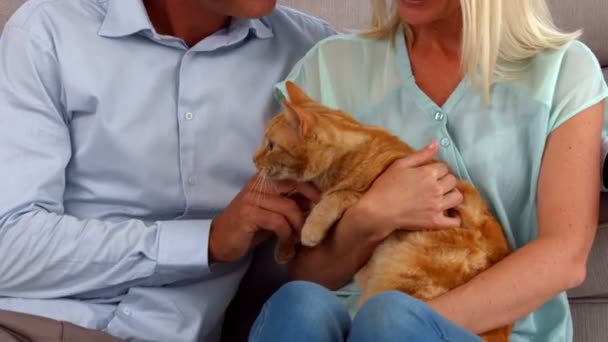 Casal feliz com seu gato — Vídeo de Stock