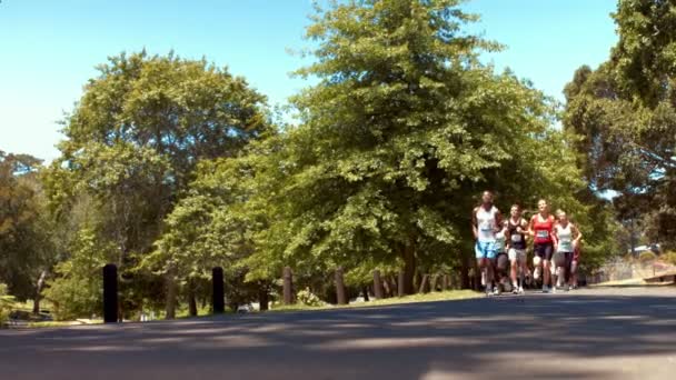 Счастливые люди бегают в парке — стоковое видео