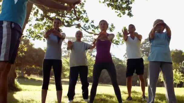 Fitnessgruppe trainiert im Park — Stockvideo