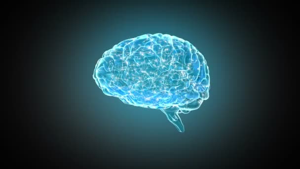Cerebro girando sobre fondo azul — Vídeo de stock