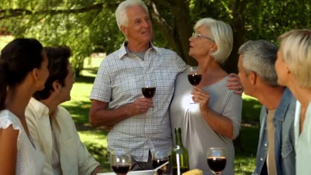 Casal mais velho brindar com a família no parque — Vídeo de Stock