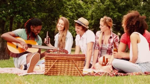 Vänner i parken ha picknick — Stockvideo