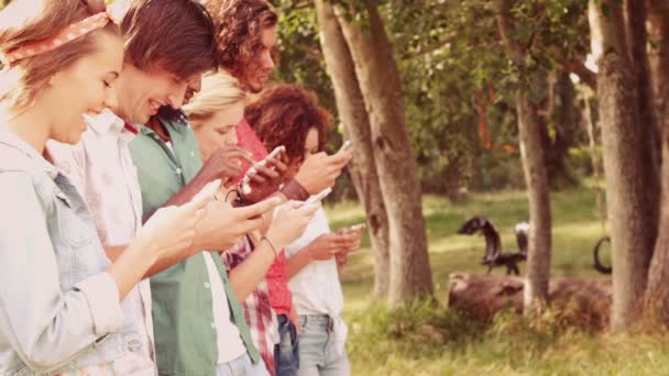 Vrienden in het park met behulp van hun telefoons — Stockvideo