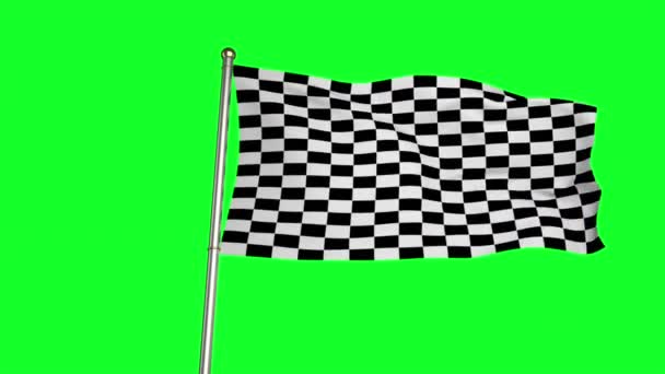 Checkered flag against green screen — Stock Video