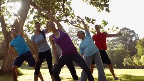 Fitnessgruppe trainiert im Park — Stockvideo