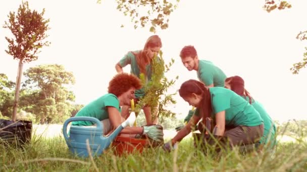 Amigos felices jardinería para la comunidad — Vídeo de stock