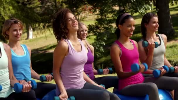 Fitness grup parkında el ağırlık kaldırma — Stok video