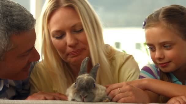 Famille heureuse avec lapin animal de compagnie — Video