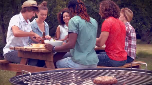 Amigos en el parque haciendo barbacoa — Vídeo de stock