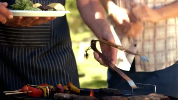 Familj med grill i parken — Stockvideo