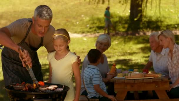 Familia teniendo barbacoa en el parque — Vídeo de stock