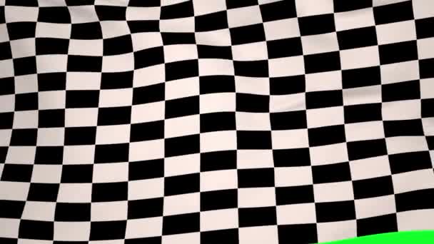 Checkered flag blowing in wind — Stock Video