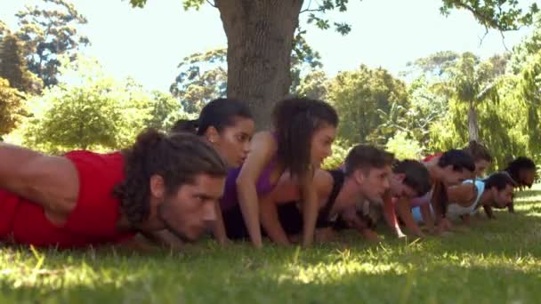 Fitness group doing push ups in park — Stock Video