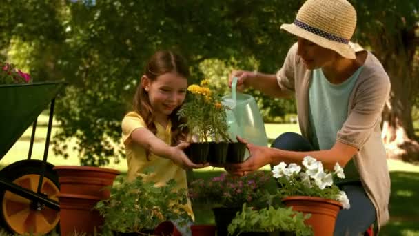 Mother and Daughter Gardening Together — стоковое видео