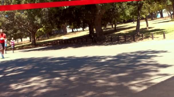 公園でのレースを実行している人に合う — ストック動画