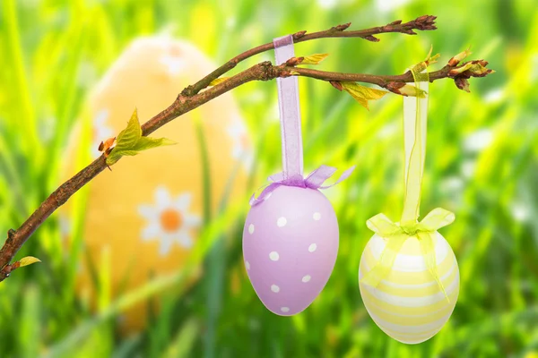 Hanging easter eggs — Stock Photo, Image