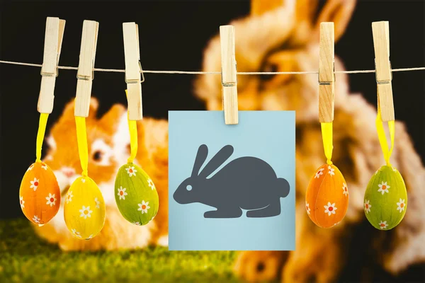 Conejo de Pascua contra conejo — Foto de Stock
